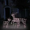 Kalėdinė lempučių ekspozicija, 3 dalių, elniai, 229 LED (Ekspozicinė prekė)