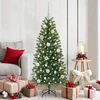 Kalėdinių Kraitės Rinkinys 61 vnt. 150 LED Šilta balta Ø 6 cm