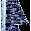 Kalėdų eglutė su 240 LED Šaltas baltas 180 cm Akrilas