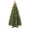 Kalėdų eglutės lemputės 180 LED Šilta balta 180 cm
