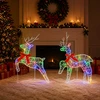 Kalėdų elnias 2 vnt. 40 LED Įvairių spalvų 43 x 19 x 65 cm