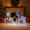 Kalėdų elnias 2 vnt. 40 LED Mėlyna 43 x 19 x 65 cm