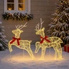 Kalėdų elnias 2 vnt. 40 LED Šilta balta 43 x 19 x 65 cm