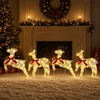 Kalėdų elnias 4 vnt. 80 LED Šilta balta 43 x 19 x 65 cm