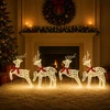 Kalėdų elnias 4 vnt. 80 LED Šilta balta 43 x 19 x 65 cm