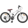 Kalnų Dviratis 24 Colių 6-Speed