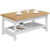 VidaXL Kavos staliukas EKAI Balta 100 x 60 x 45,5 cm