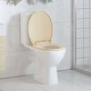Klozeto sėdynė su soft-close mechanizmu, smėlio spalvos, ovali