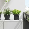 Kvadratinis gėlių padėklas 6 vnt. Juoda 15 x 15 x 2 cm