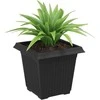Kvadratinis gėlių vazonas 24 pcs Juoda 16 x 16 x 14 cm