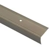 Laiptų profiliai 10 pcs šampano 67 x 3 x 2 cm Aliuminis