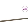 Laiptų profiliai 30 pcs Ruda 67 x 3 x 2 cm Aliuminis