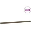 Laiptų profiliai 30 pcs Ruda 67 x 3.5 x 3 cm Aliuminis