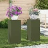 Augalų stovas 2 pcs Alyvuogių žalia 24 x 24 x 55 cm Plienas