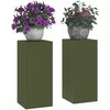 Augalų stovas 2 pcs Alyvuogių žalia 24 x 24 x 55 cm Plienas