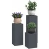 Augalų stovas 3 pcs Antracitas Plienas