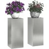 Augalų stovas 2 pcs Sidabro 24 x 24 x 55 cm