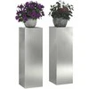 Augalų stovas 2 pcs Sidabro 24 x 24 x 75 cm
