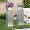 Augalų stovas 2 pcs Sidabro 24 x 24 x 75 cm
