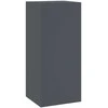 Augalų stovas 2 pcs Antracitas 24 x 24 x 55 cm Plienas