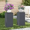 Augalų stovas 2 pcs Antracitas 24 x 24 x 55 cm Plienas