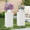 Augalų stovas 2 pcs Balta 24 x 24 x 55 cm Plienas