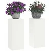 Augalų stovas 2 pcs Balta 24 x 24 x 55 cm Plienas