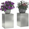 Augalų stovas 2 pcs Sidabro 24 x 24 x 35 cm