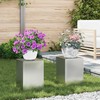 Augalų stovas 2 pcs Sidabro 24 x 24 x 35 cm