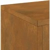 Augalų stovas 2 pcs Rūdijanti 24 x 24 x 75 cm