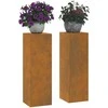Augalų stovas 2 pcs Rūdijanti 24 x 24 x 75 cm