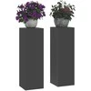 Augalų stovas 2 pcs Juoda 24 x 24 x 75 cm Plienas