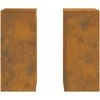 Augalų stovas 2 pcs Rūdijanti 24 x 24 x 55 cm