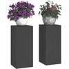 Augalų stovas 2 pcs Juoda 24 x 24 x 55 cm Plienas