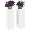 Augalų stovas 2 pcs Balta 24 x 24 x 75 cm Plienas
