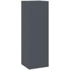 Augalų stovas 2 pcs Antracitas 24 x 24 x 75 cm Plienas