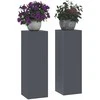 Augalų stovas 2 pcs Antracitas 24 x 24 x 75 cm Plienas