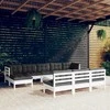 Lauko baldų komplektas Sodo komplektas su pagalvėmis, 11 dalių, baltas, pušies masyvas