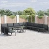 Sodo Sofų Rinkinys su pagalve 12 pcs Juoda Plienas