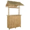 Lauko baro stalas Natūrali 115 x 95 x 215 cm Bambukas