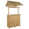 Lauko baro stalas Natūrali 115 x 95 x 215 cm Bambukas