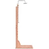 Lauko dušas 223 cm Kietosios maumedžio ir nerūdijančio plieno