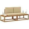 Lauko galinė sofa su pagalve 2 Vienetas Natūralus ir bežinis