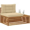 Lauko galinė sofa su pagalve 3 Vienetas Natūralus ir bežinis