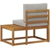 Lauko galinė sofa su pagalve Natūrali 91 x 63 x 73 cm