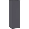Augalų stovas 2 pcs Antracitas 24 x 24 x 75 cm Plienas