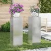 Augalų stovas 2 pcs Sidabro 24 x 24 x 75 cm