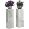 Augalų stovas 2 pcs Sidabro 24 x 24 x 75 cm