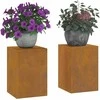 Augalų stovas 2 pcs Rūdijanti 24 x 24 x 35 cm