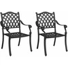 Sodo Kėdė 2 pcs Juoda 56 x 55 x 92.5cm Aliuminis